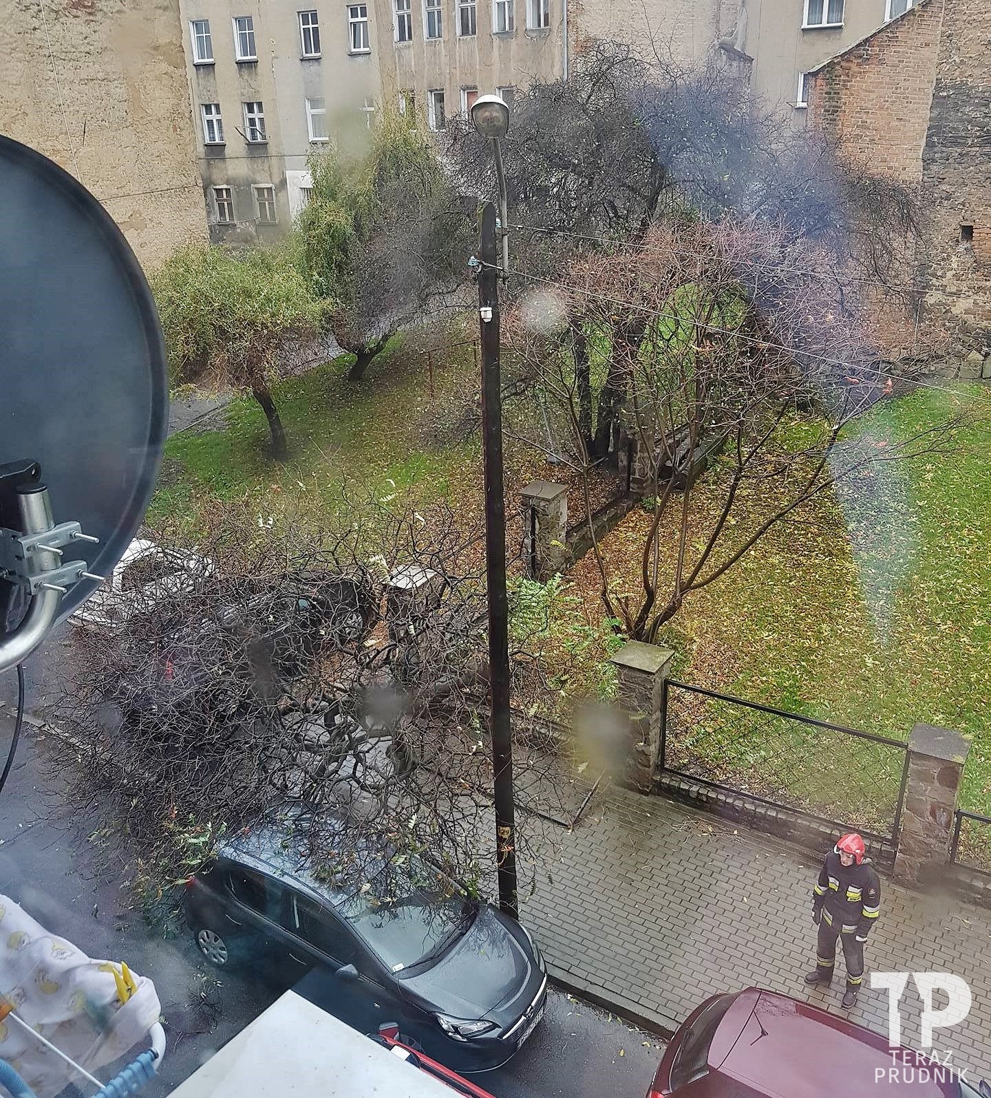 Drzewo uszkodziło dwa samochody