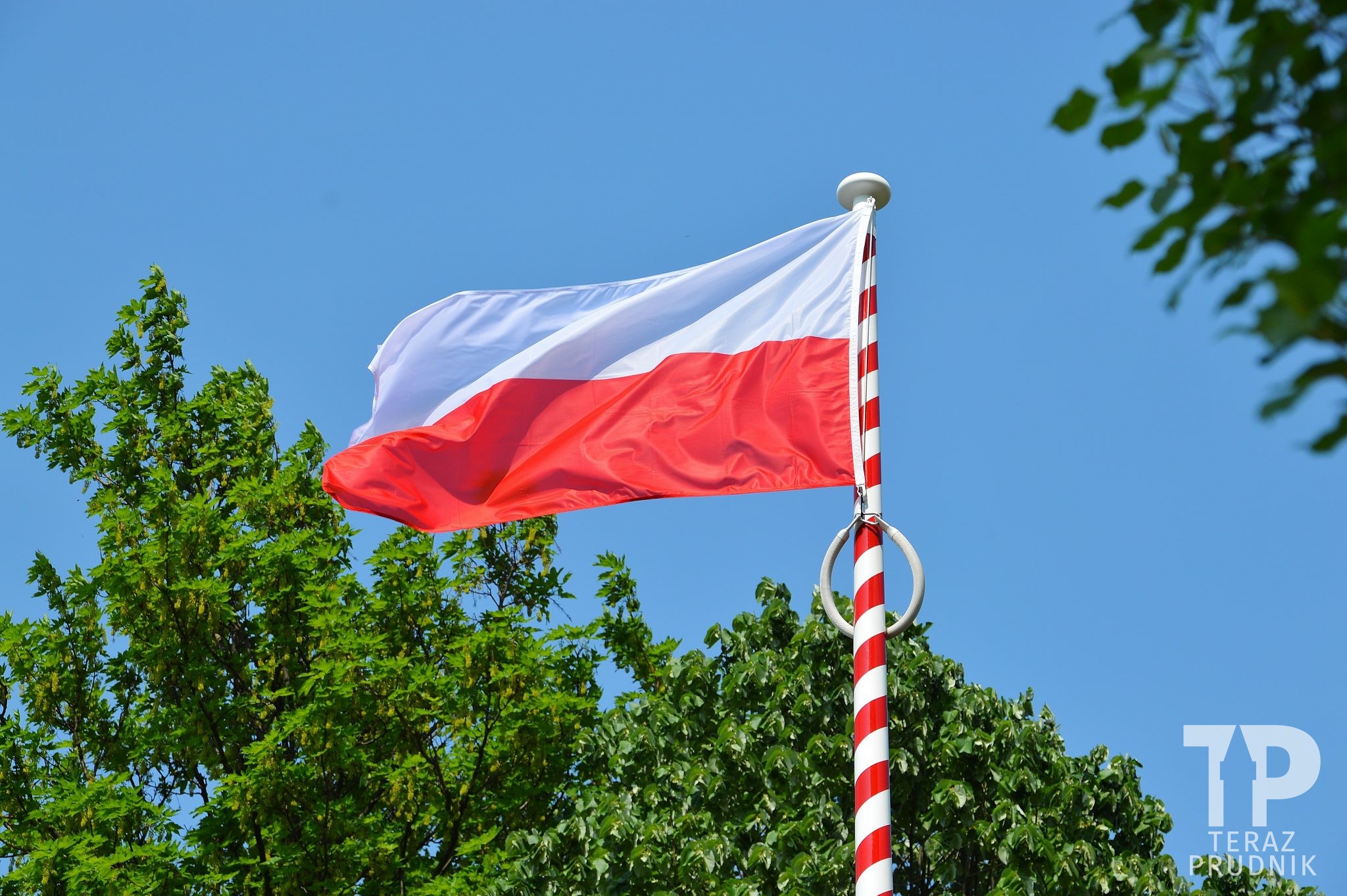 Pod biało-czerwoną: Trwa głosowanie