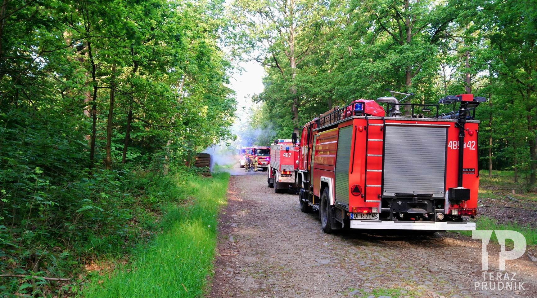 Będą nowe zbiorniki przeciwpożarowe w lasach Nadleśnictwa Prudnik