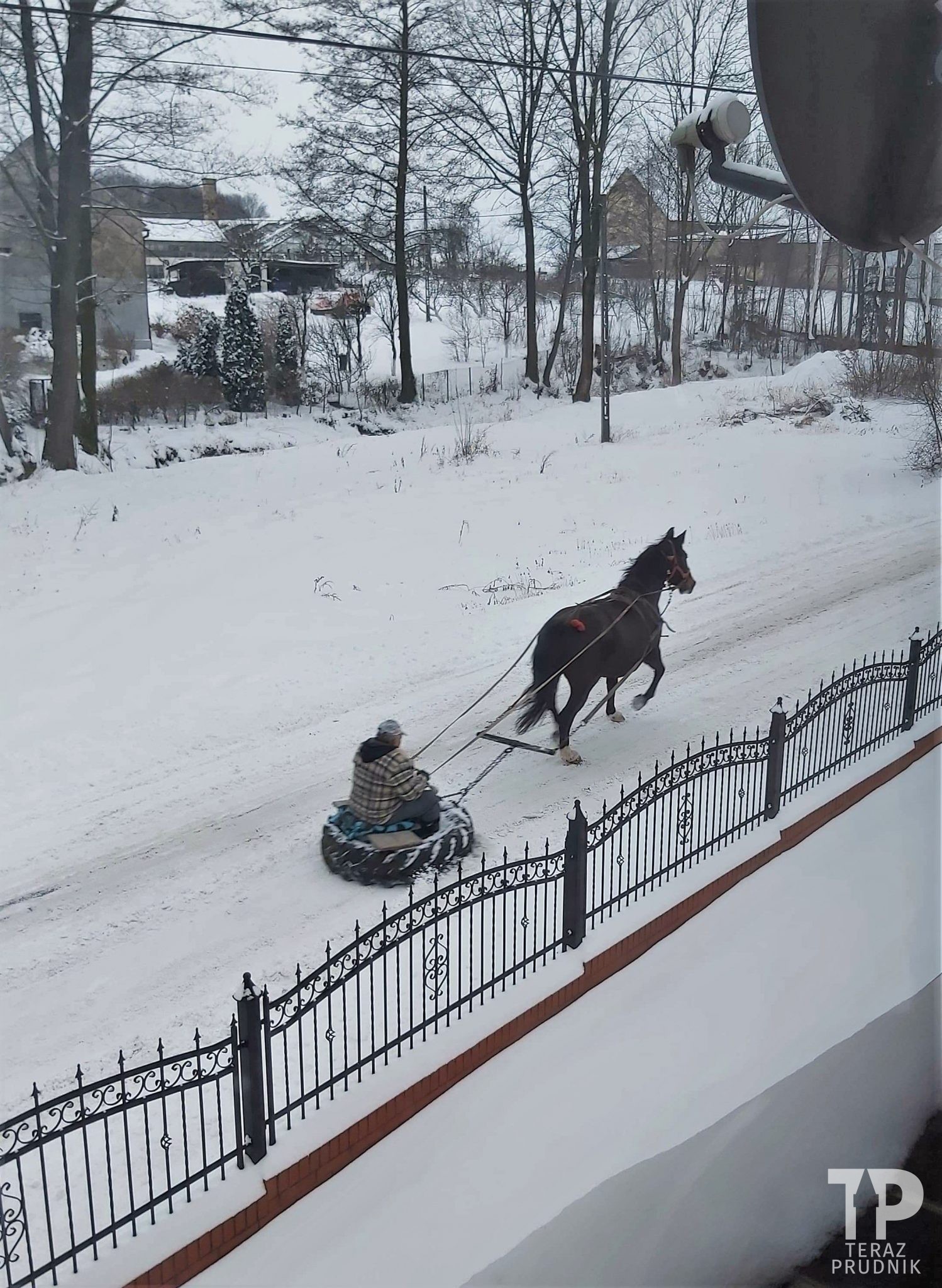 Nietypowo w Rudziczce