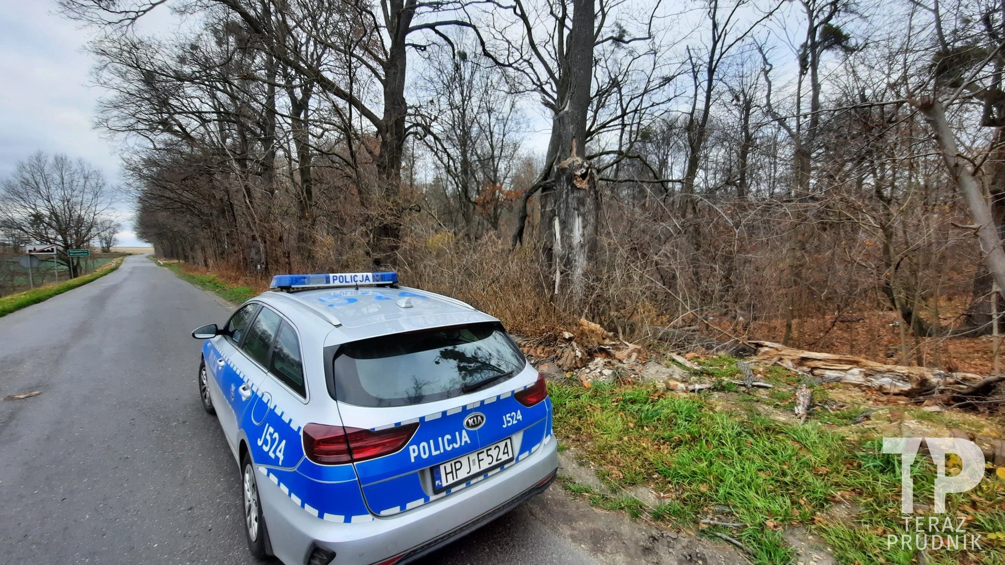 Ktoś regularnie zaśmieca park pałacu