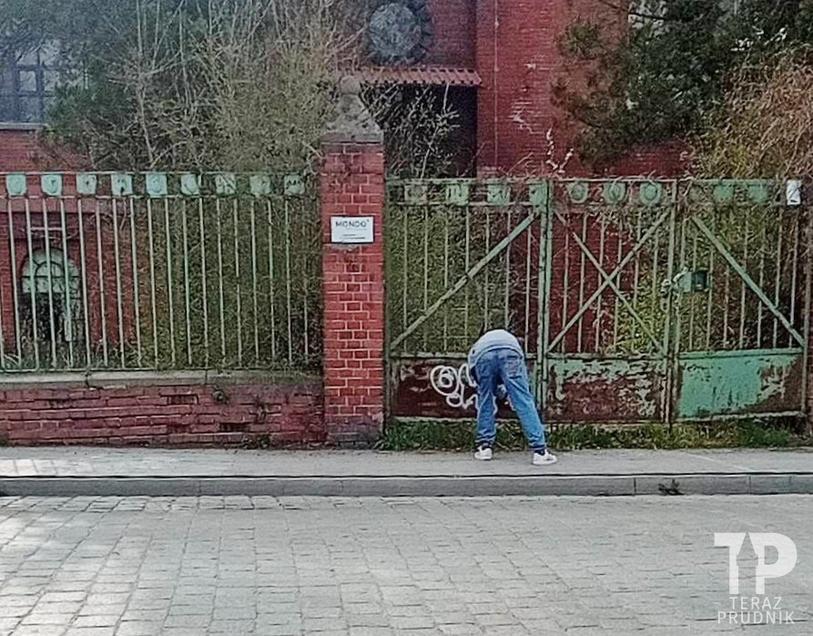 28-letni wandal odpowie przed sądem