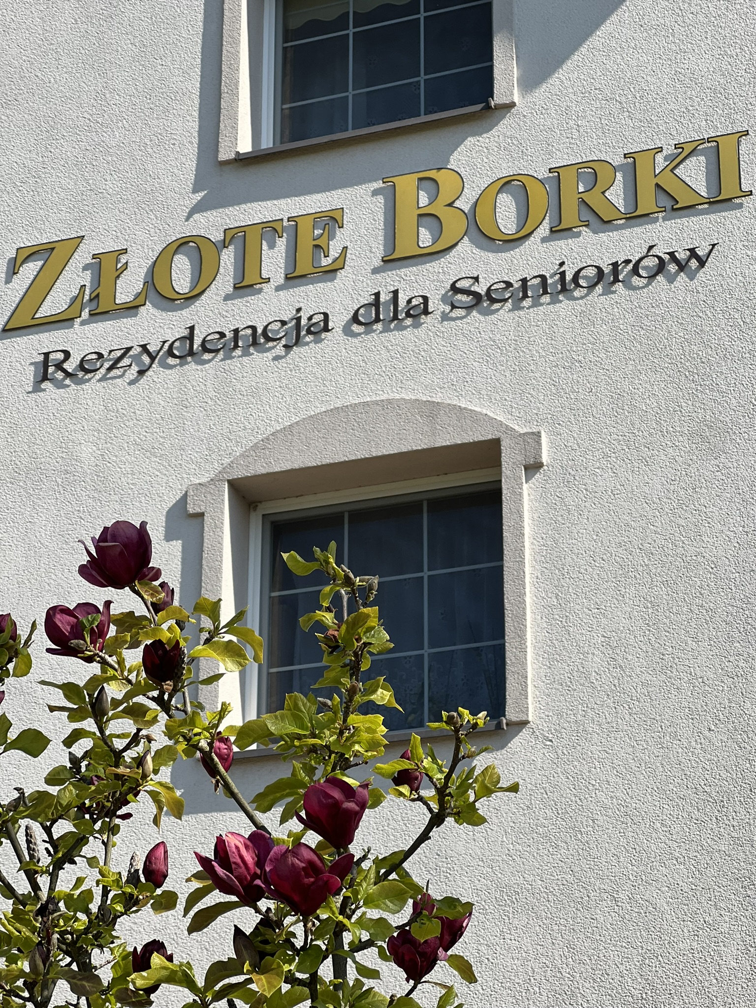 Urlop i pobyty rehabilitacyjne dla seniora w Domu Opieki Złote Borki w Jarnołtówku. Zapraszamy na dzień otwarty