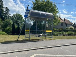 Bocian też… pasażer
