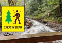 Zniszczona infrastruktura oraz drzewostany. Wprowadzono zakaz wstępu do lasów