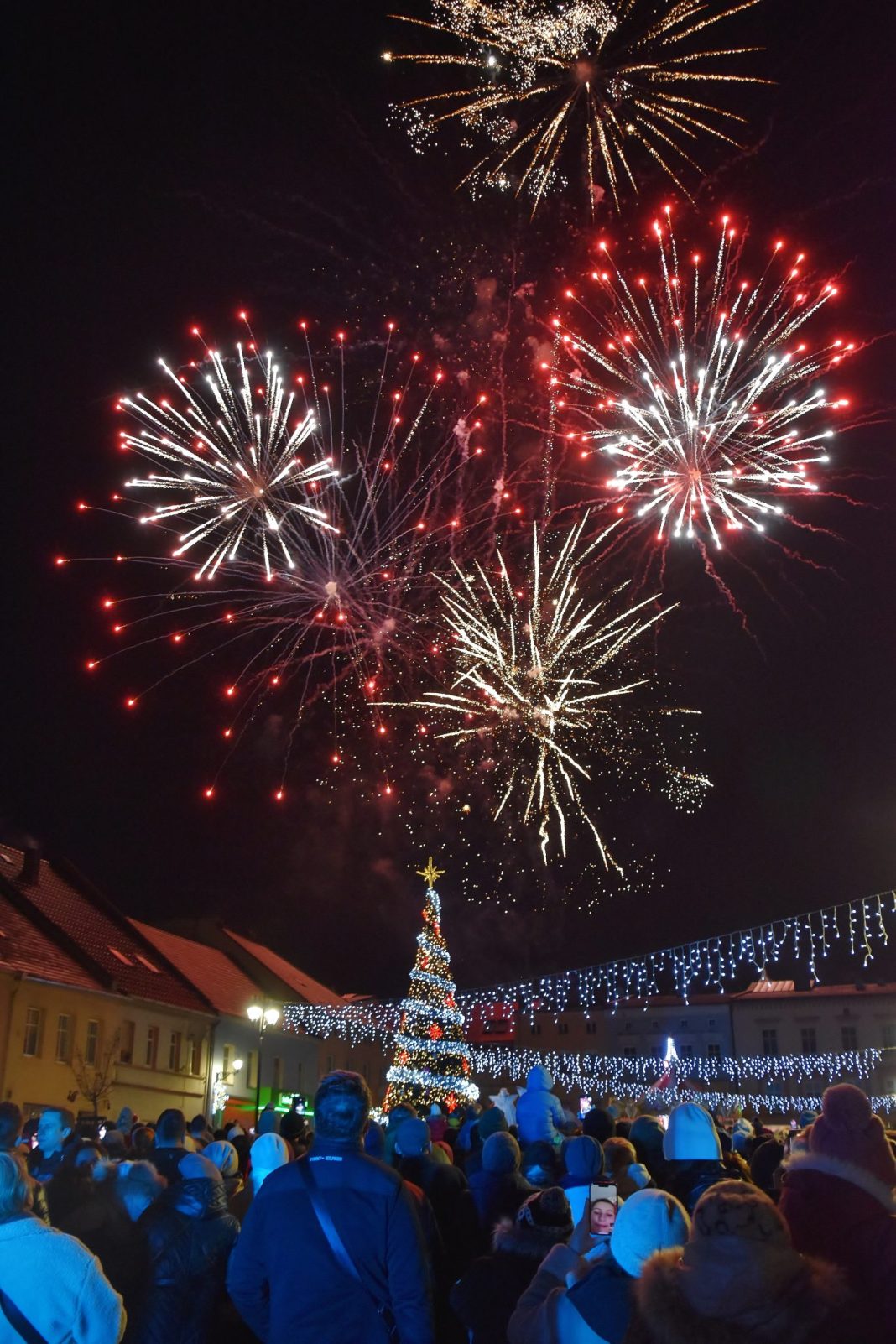DSC_8378