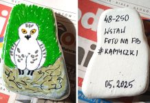 Znaleźliście w okolicy pomalowane kamyczki? Co to za akcja? Wyjaśniamy!