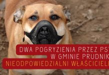 Dwukrotne pogryzienie przez psy w gminie Prudnik