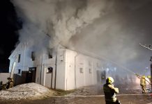 Nocny pożar w stadninie w Mosznej. Ewakuowano 22 konie
